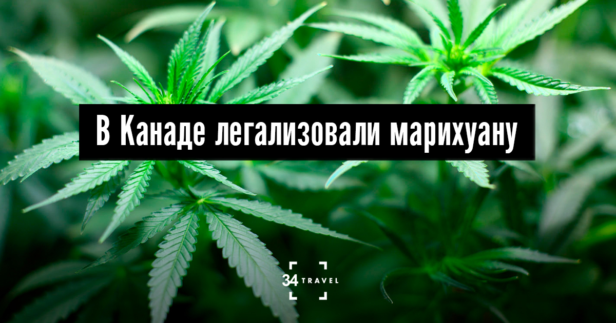 Законы канады о марихуане tor browser скачать бесплатно русская версия на ipad hydraruzxpnew4af