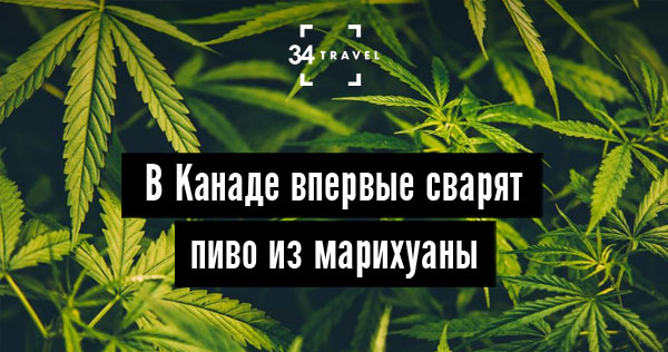 марихуана и черногория