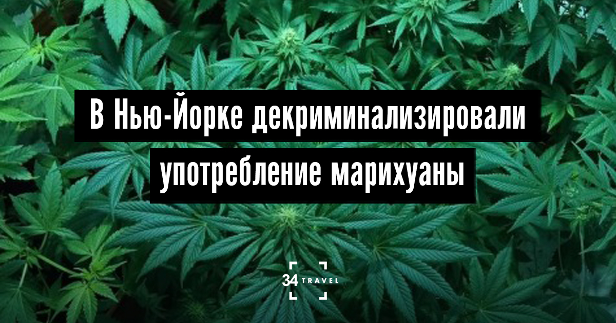 употребление марихуаны закон россия