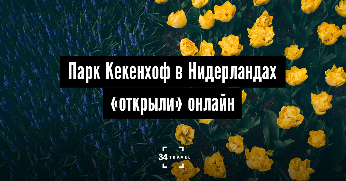 Парк Кекенхоф в Нидерландах «открыли» онлайн