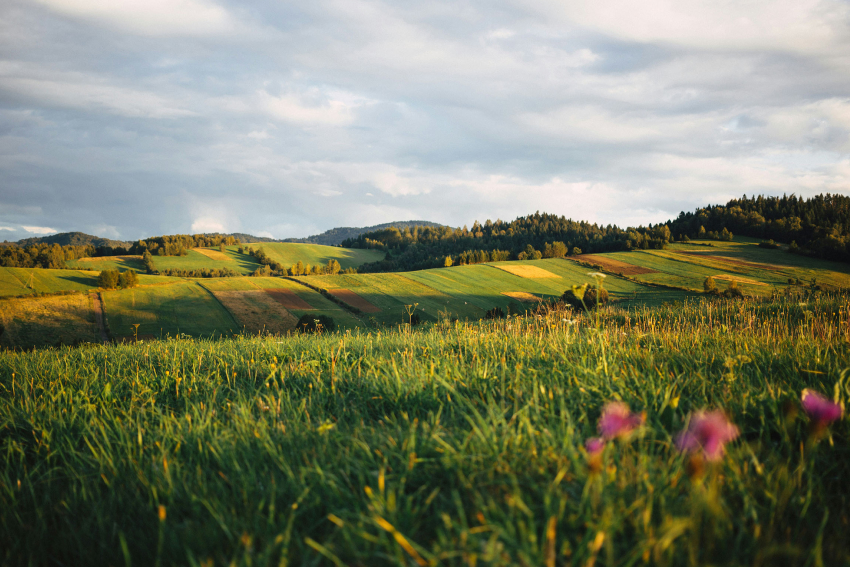 Польские Бещады: альтернатива хайкам в Татрах