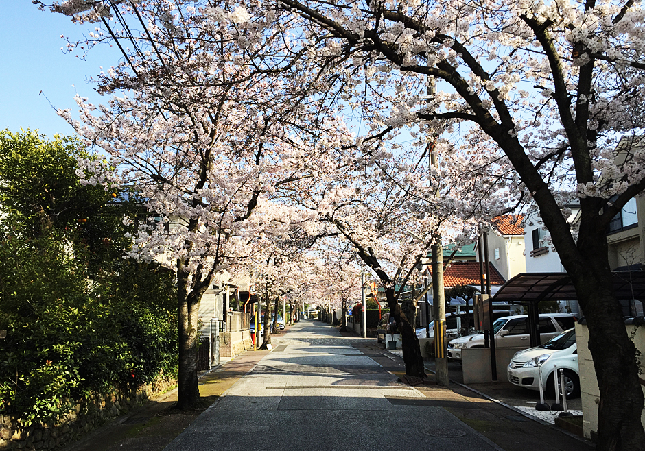 Japan life владивосток. Асахикава Япония люди живущие. Переехать жить в Японию. Как переехать жить в Японию. Как переехать в Японию из России.